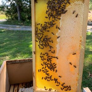 Meet your Posher, Kelsie